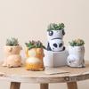 Handstand Cute Animal Flower Pot for Succulents Cactus Air Plants Planter Fairy Garden Figurines Home Table Office Decoration