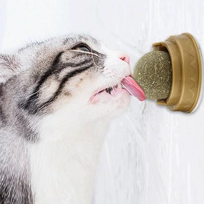 Katten – Speelgoed voor katten