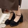 Women's Shoes Sweet Bow Knot Mary Jane Shoes Thick Heel Round Toe Single Footwear Banquet High Heels Dress Shoes for Women Pumps