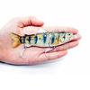 5.12inch Electric Fishing Lure USB Charging Bait 4Section Swimbait Crankbait  Pesca Tackle Vivid Fish