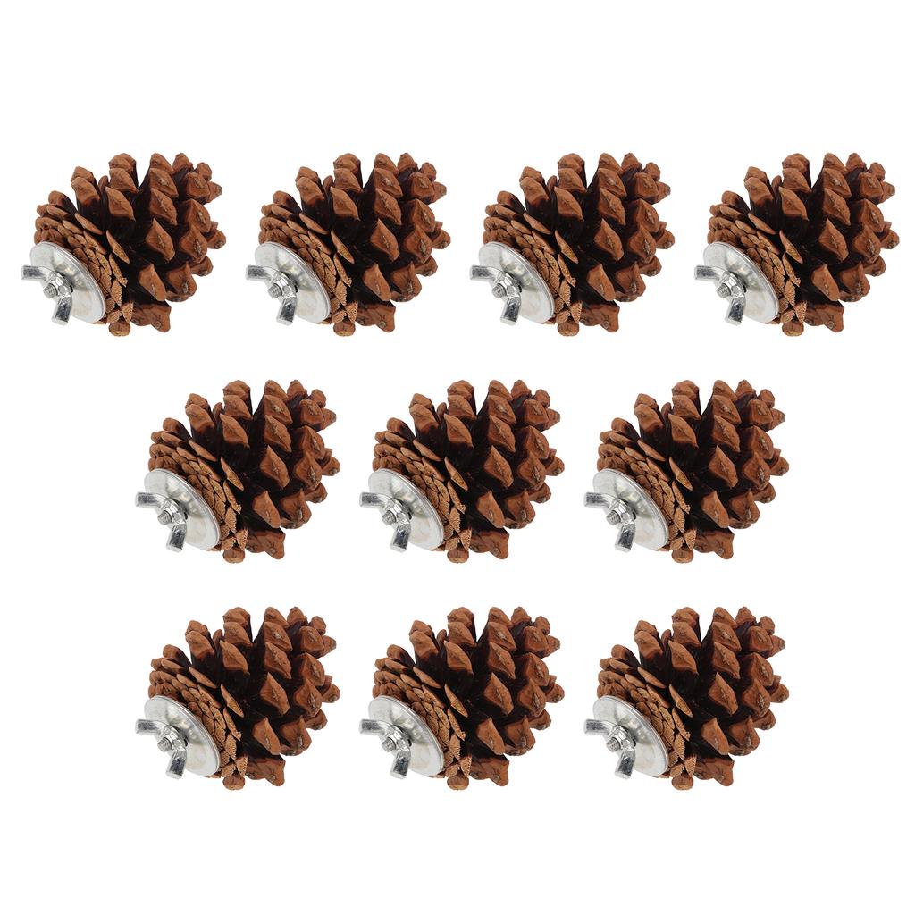10pcs Bird Bite Pine Cones Natural Pine Cone Chewing Bird Toy for Parakeet Cockatiel Conure Finch Budgie Macaw