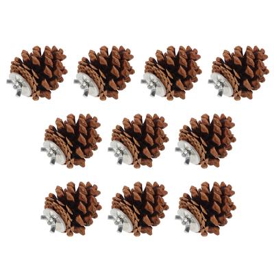 10pcs Bird Bite Pine Cones Natural Pine Cone Chewing Bird Toy for Parakeet Cockatiel Conure Finch