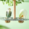 Anti-Spill Avian Food Holder No-Mess Design Avian Perch with Food Bowls Hanging Parrot Feeder Easy to Clean Enclosure Feeding