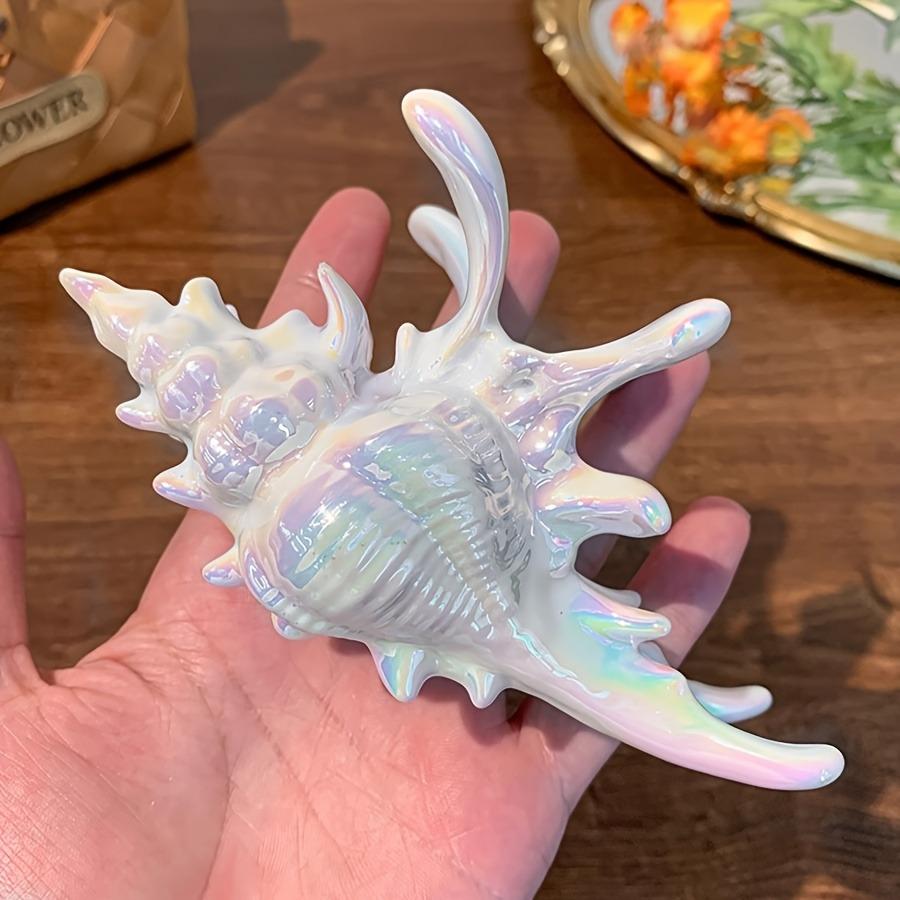 Niche Fashion Seaside Vacation Style Conch Hair Grab Clip Ocean Hair Accessories Headwear Niche Gifts Back of Head Hair Styling