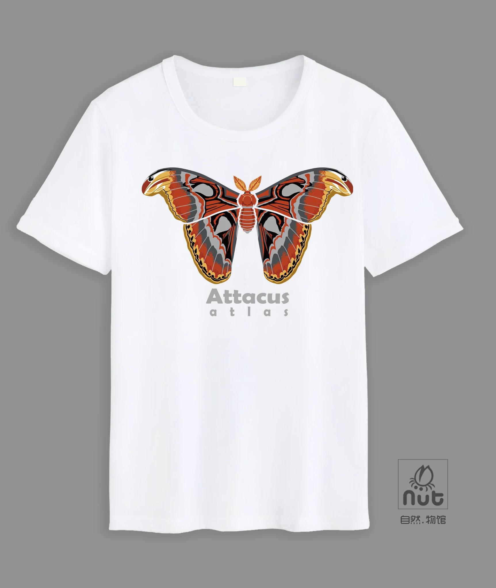 Natural Creature Moth Insect Attacus Atlas TShirt Summer Cotton ONeck Short Sleeve Mens T Shirt New S3XL S