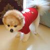 Christmas Vest Pet Dog Puppy Hoodie Sweater Xmas Warm Clothes Costume Shirt