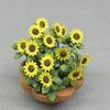 Wako Table Garden Series Mini Sunflower 1/12