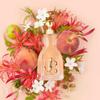 Jimmy Choo Parfémovaná voda I Want Choo - 100 ml -