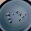 Women Butterfly Earrings Fashion Zircon Ear Hook Clip-On Cartilage Non-Pierced Earrings
