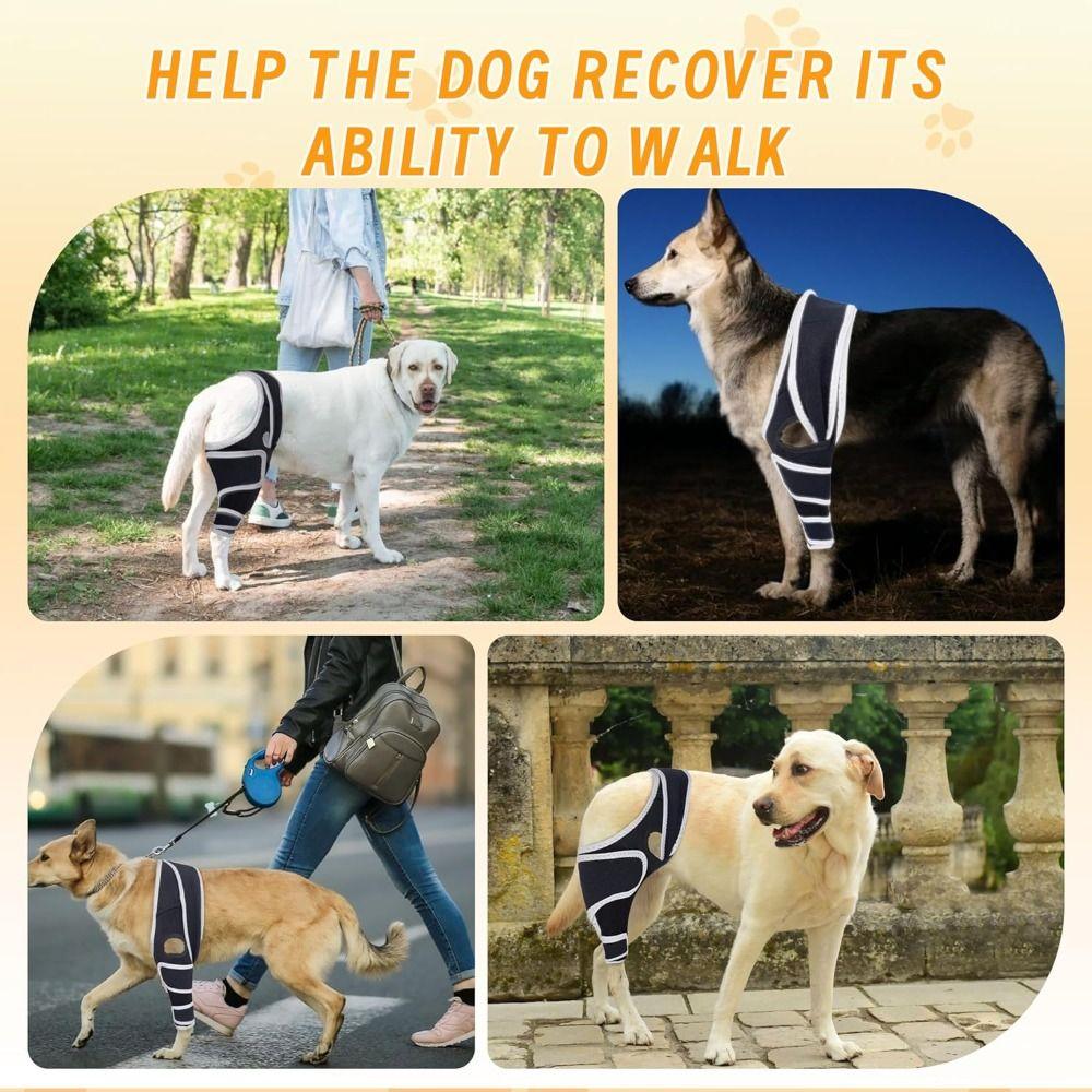 Durable Leg Support Bracket Adjustable Pet Knee Wound Protection  for Hind and Front Legs