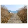 Canvas print, Bridge reed sea landscape