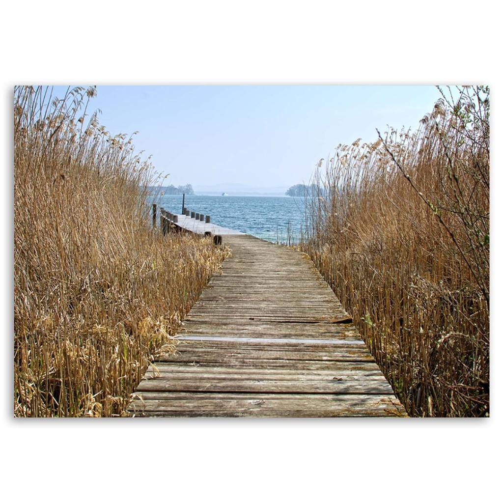 Canvas print, Bridge reed sea landscape