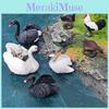 Bird Model Collection Featuring Greenheaded Duck And Gray Duck For Home Decor And Educational Use