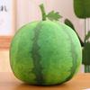 Soft And Cuddly Watermelon Plush Pillow Blanket For Office Nap