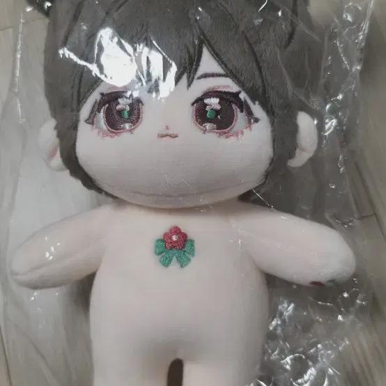 

Вернуться к вулкану Чидангососо