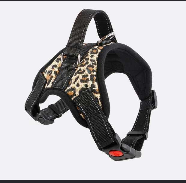 Universal Dog Harness: Cross-Border Traction Rope for Medium & Large Breeds, Labrador Pet Vest with Chest and Shoulder Straps