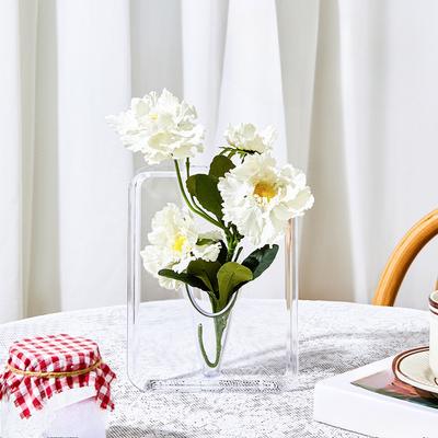 Photo Frame Vase Transparent Hydroponic Flower Arrangement Water-cultivated Green Plant Ornament Living Room Tabletop