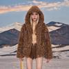 Imitation Lamb Wool Coat Women's New Winter Hooded Thickened Loose High-end Fur Fur Coat Light