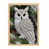 Kit d'Art Diamant Hibou pour Adultes Débutants Peinture Perles DIY Projet d'Artisanat Strass avec Diamants Résine Décoration Intérieure Cadeau pour la Famille et les Amis