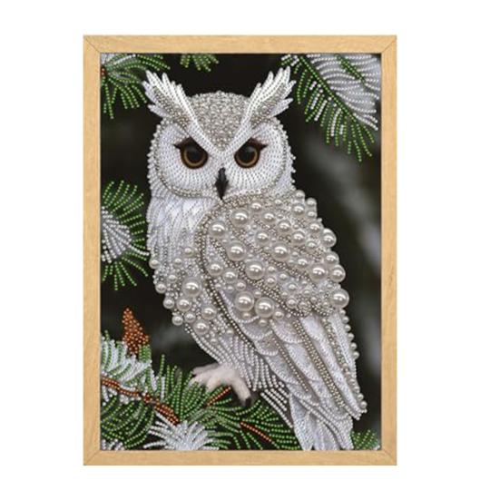 Kit d'Art Diamant Hibou pour Adultes Débutants Peinture Perles DIY Projet d'Artisanat Strass avec Diamants Résine Décoration Intérieure Cadeau pour la Famille et les Amis