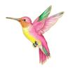 4 Pezzi Spilla Multifunzione in Metallo a Forma di Colibrì per Abiti Borse Cappelli Con Accessorio Colorato Vivace Gioielli da Donna