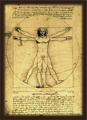 Broccoli Hybrid Sleeve Leonardo Da Vinci "Vitruvian Man"