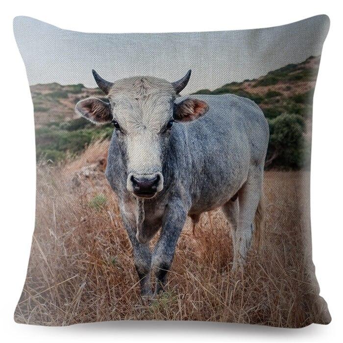 cow pillows