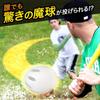 Wiffle Ball Set With Bat And 3 Balls [japan Official Product]  White