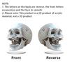 2D Acrylic Ornament Sign Gothic Flat Skull for Cabinet Mantel Halloween