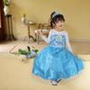 2025 Frozen Princess Elsa Long-Sleeve Dress for Girls (Ages 3-8)