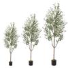 Olive Tree Potted Plant - Indoor Decor Simulation for Living Room