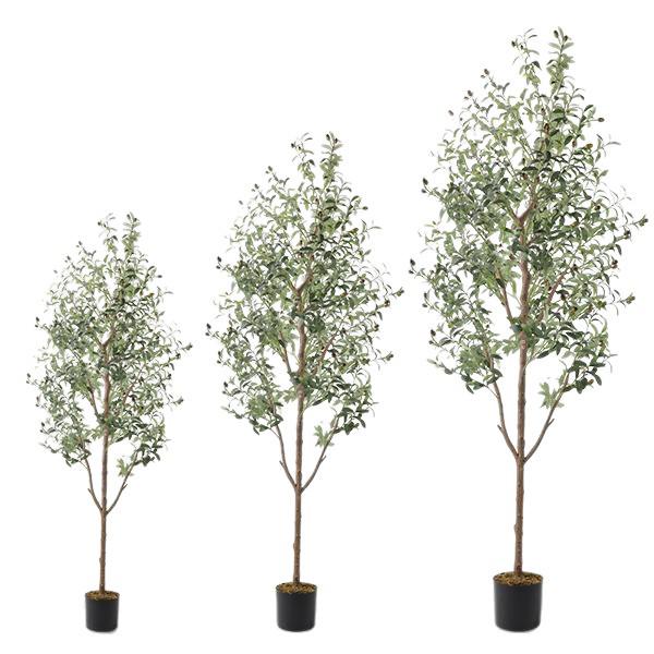 Olive Tree Potted Plant - Indoor Decor Simulation for Living Room