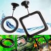 Aquarium Fish Feeding Ring Equipped Suction Cups Portable Circular Square Aquatic Animal Feeder Fish Tank Aquarium Feeding Tools