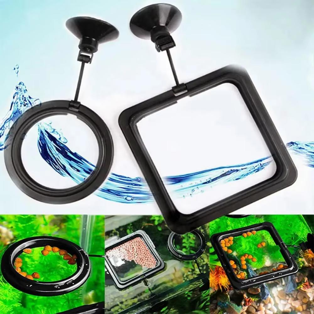 Aquarium Fish Feeding Ring Equipped Suction Cups Portable Circular Square Aquatic Animal Feeder Fish Tank Aquarium Feeding Tools