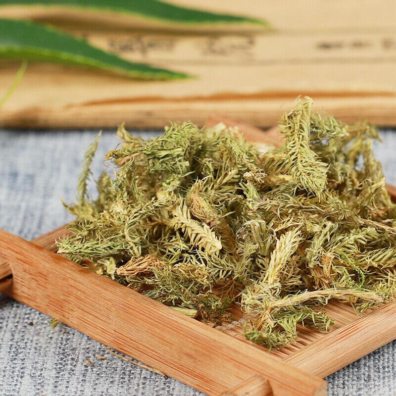 500g Shenjincao Healthy Herbal Tea Drink Shujincao Čínská specialita