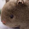 Animal Pet Peluche Plush Pillow Hamster Plush Doll Plush Animal Toy Hamster Plush Toys Stuffed Toys