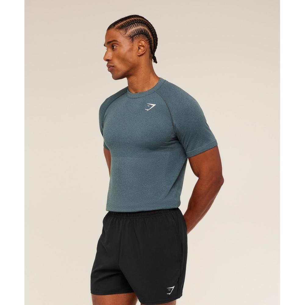 Gymshark ViTal Seamless T shirT Iron Blue    sTealTh Blue A2b5p Ud79