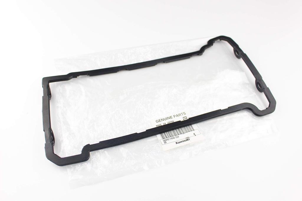 Genuine Barrios Head Cover Gasket (110601133)