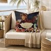 TV Series Alf Pillow Case for Sofa Living Room Home office Decor Protective Cover