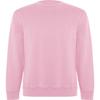 Roly Eco Unisex Adult Batian Organic Sweatshirt