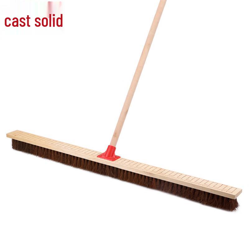 ZhuGu 856 Long-Handle Bristle Floor Brush