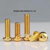 Titanium Gold Semicircular Head Hex Socket Screws - M2.5 to M8 Pan Head Sizes