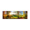 Forest Landscape Canvas Painting Canvas Wall Art Home Decor Wall Picture Poster for Living bedRoom Decor