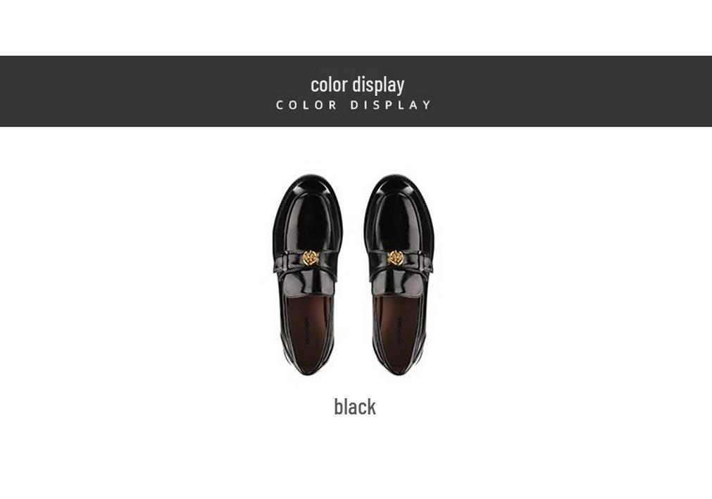 Women's Chunky Heel Gold Coin Loafers: Round Toe, Soft Sole, Slip-On Single Shoes for Autumn/Winter.