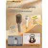 KINYO K98 All-in-One Wireless Microphone Speaker CN plug (adapter included)