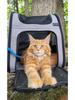 Foldable Expandable Pet Backpack with Adjustable Height and Customizable Logo – Breathable Double-Shoulder Design for Outdoor Use
