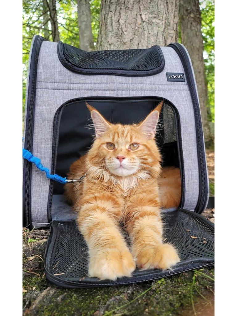 Foldable Expandable Pet Backpack with Adjustable Height and Customizable Logo – Breathable Double-Shoulder Design for Outdoor Use