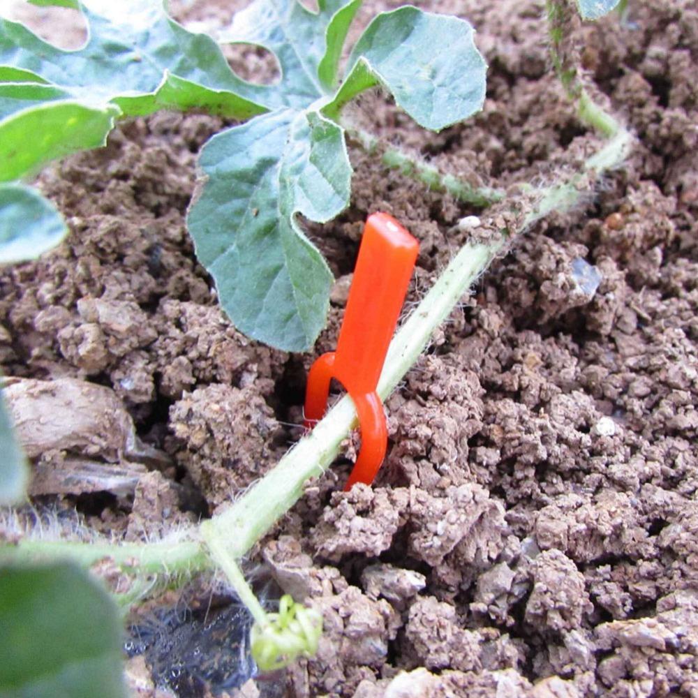 200 Pcs Climbing Wall Plastic Clips Gardening Vine Forks Fixing Fasteners Reusable Plants Pp Stolons Fastening Clamps Fixator