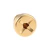 1Pc Brass Car Coolant Water Tank Expansion Drain Screw Plug 17111712788 11537793373 for BMW 128i 135i 318i 318ti 320i X5 X6 Z4 Oil Drain Plugs 3