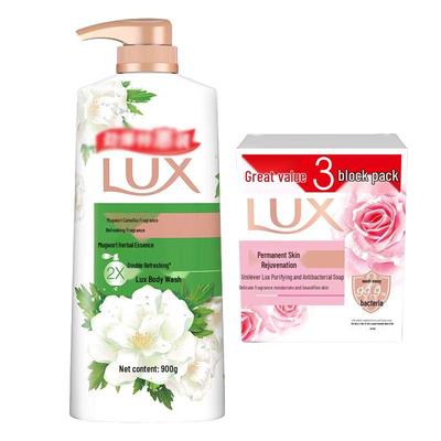 Mugwort & Camellia Shower Gel and Antibacterial Soap Pack